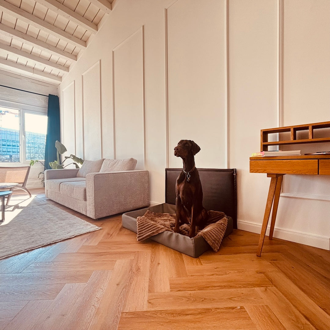 Der Wandschutz für deinen Hund - unsere Paw Wall im Vintage-Design