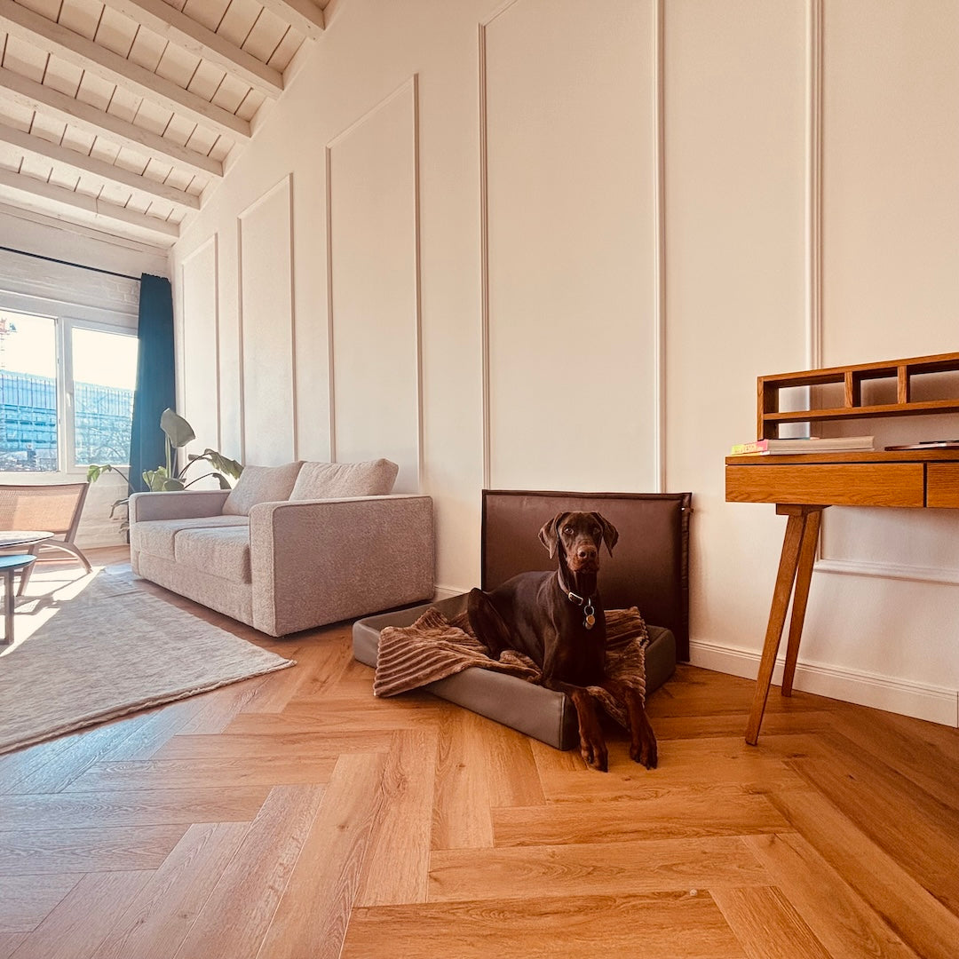 Der Wandschutz für deinen Hund - unsere Paw Wall im Vintage-Design