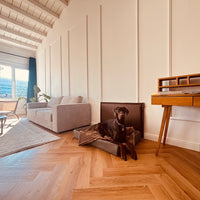 Der Wandschutz für deinen Hund - unsere Paw Wall im Vintage-Design