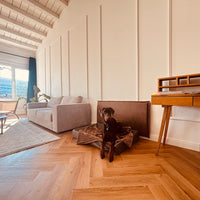 Der Wandschutz für deinen Hund - unsere Paw Wall im Vintage-Design