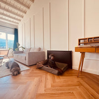 Wandschutz für deinen Hund im Quilted - Design