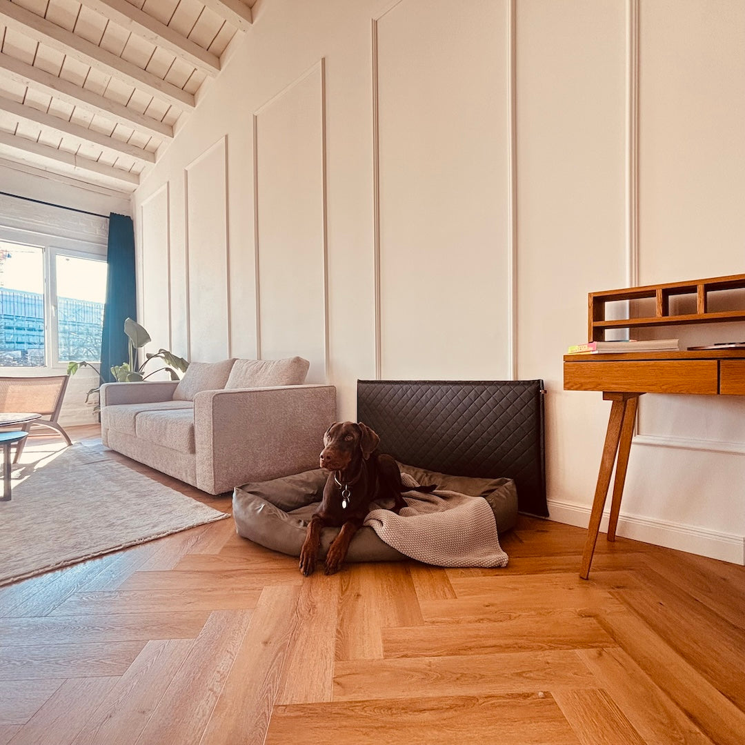 Wandschutz für deinen Hund im Quilted - Design