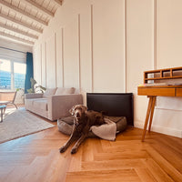 Wandschutz für deinen Hund im Quilted - Design