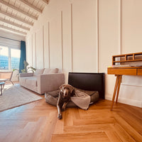 Wandschutz für deinen Hund im Quilted - Design