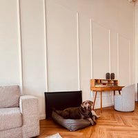 Wandschutz für deinen Hund im Quilted - Design