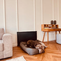 Wandschutz für deinen Hund im Quilted - Design