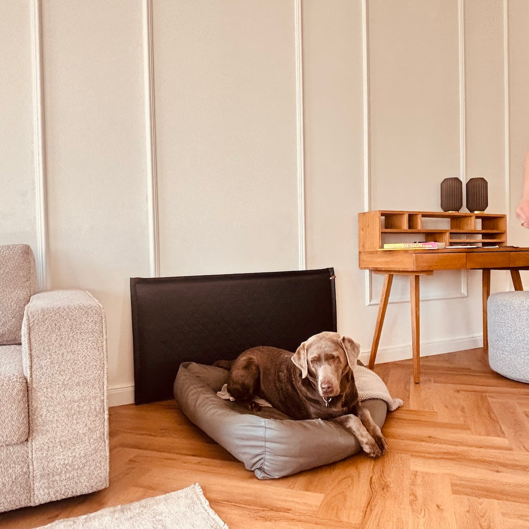 Wandschutz für deinen Hund im Quilted - Design