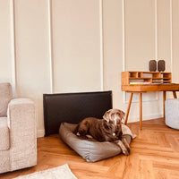 Wandschutz für deinen Hund im Quilted - Design