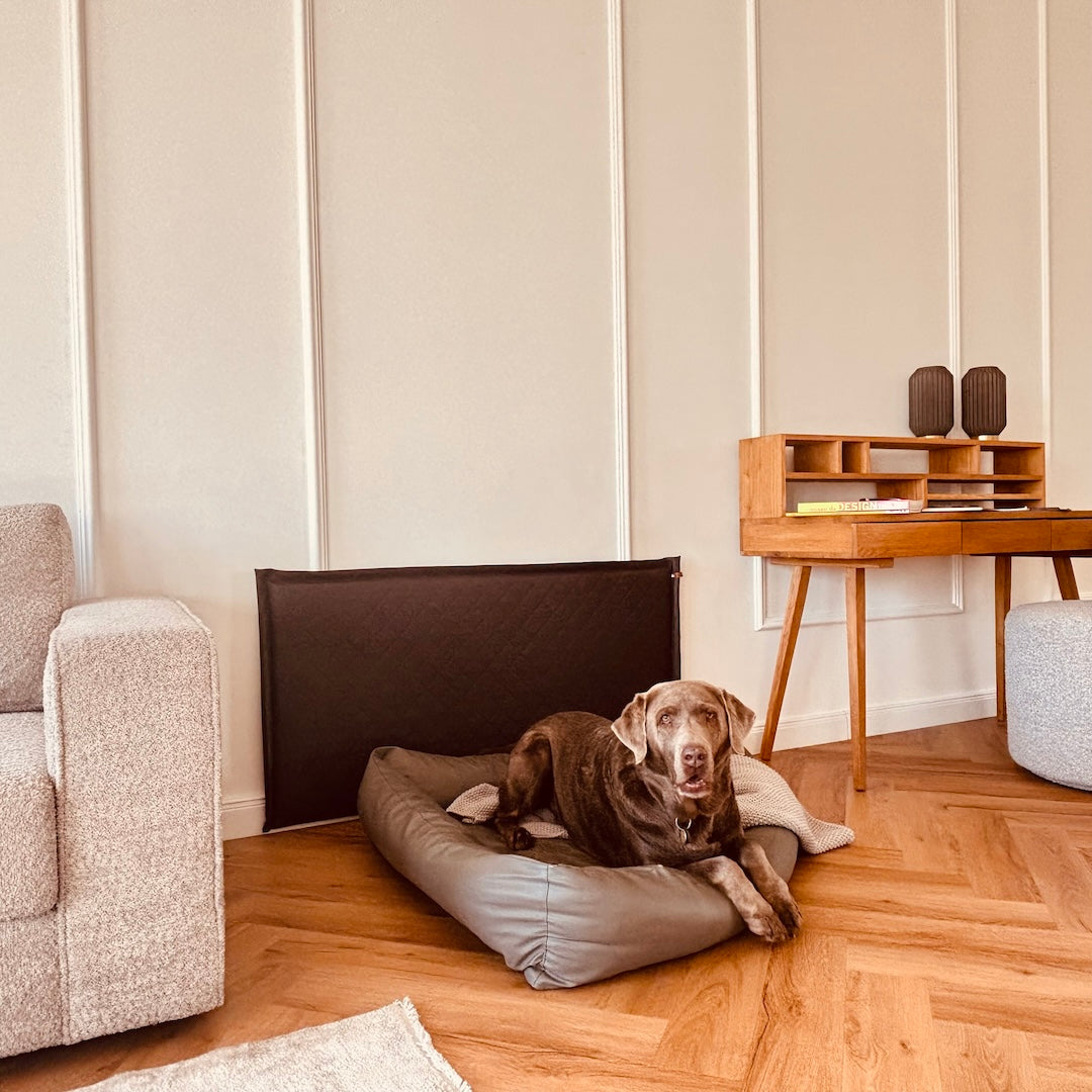 Wandschutz für deinen Hund im Quilted - Design