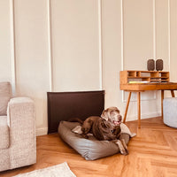 Wandschutz für deinen Hund im Quilted - Design