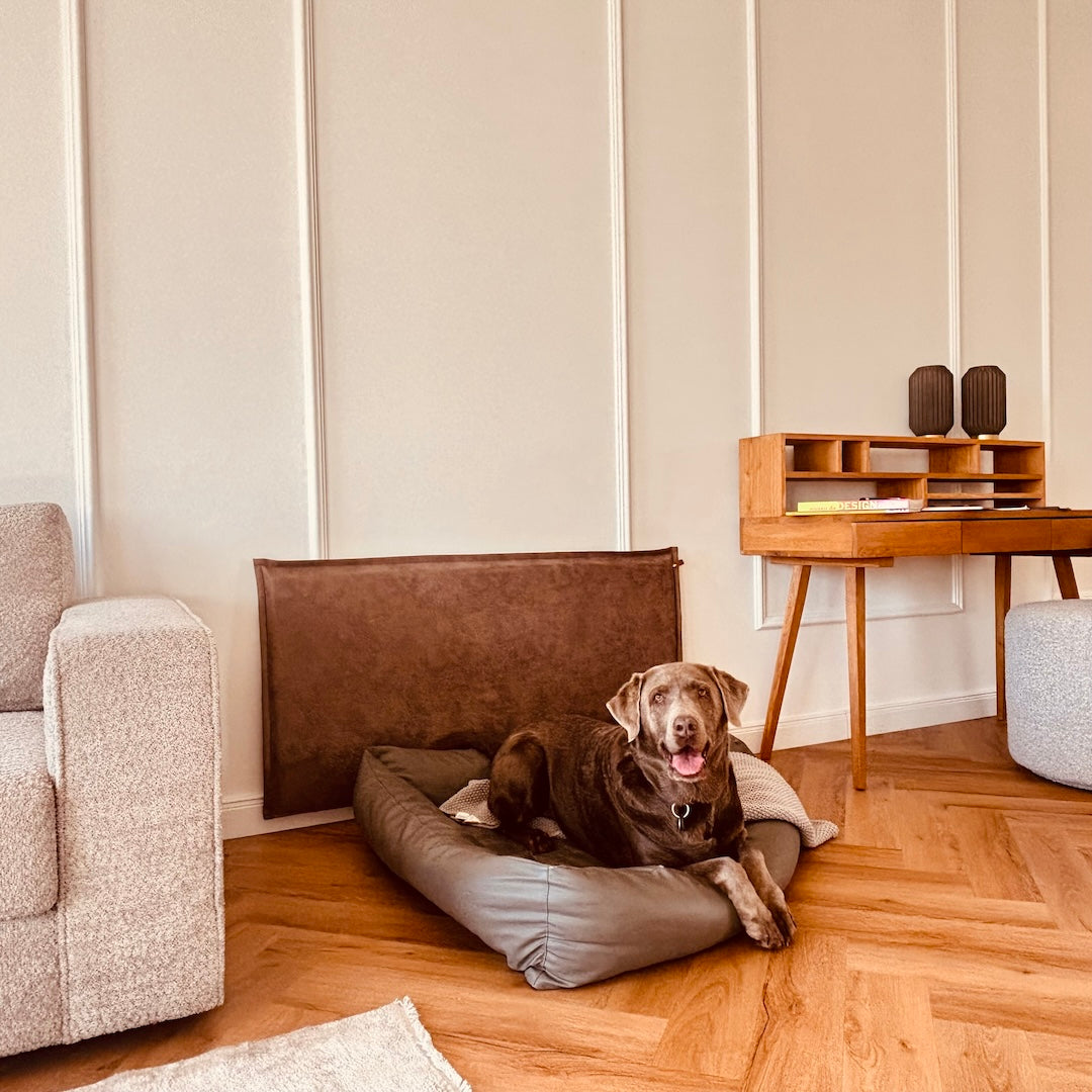 Der Wandschutz für deinen Hund - unsere Paw Wall im Vintage-Design