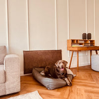 Der Wandschutz für deinen Hund - unsere Paw Wall im Vintage-Design
