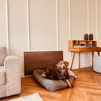Der Wandschutz für deinen Hund - unsere Paw Wall im Vintage-Design