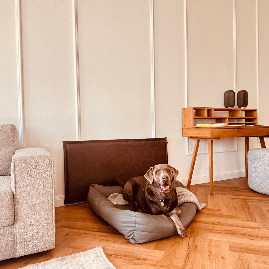 Der Wandschutz für deinen Hund - unsere Paw Wall im Vintage-Design