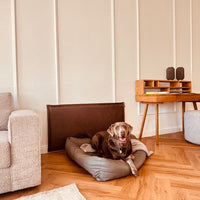 Der Wandschutz für deinen Hund - unsere Paw Wall im Vintage-Design