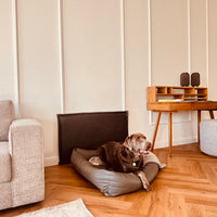Der Wandschutz für deinen Hund - unsere Paw Wall im Vintage-Design