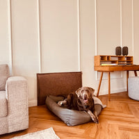 Der Wandschutz für deinen Hund - unsere Paw Wall im Vintage-Design