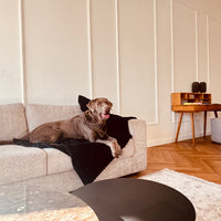 Cozy🐾Paws Sofadecke für dein Zuhause oder unterwegs