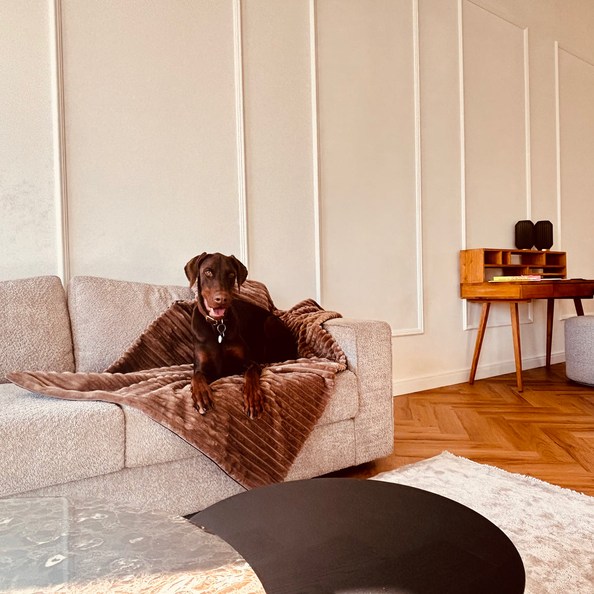 Cozy🐾Paws Sofadecke für dein Zuhause oder unterwegs