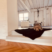 Cozy🐾Paws Sofadecke für dein Zuhause oder unterwegs