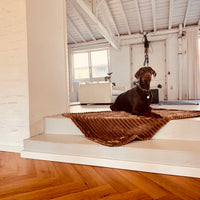 Cozy🐾Paws Sofadecke für dein Zuhause oder unterwegs