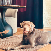 Cozy🐾Paws Sofadecke für dein Zuhause oder unterwegs