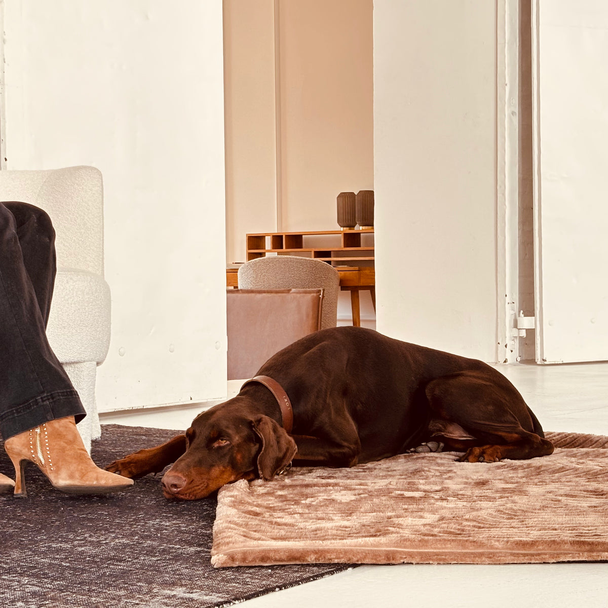 Cozy🐾Paws Sofadecke für dein Zuhause oder unterwegs