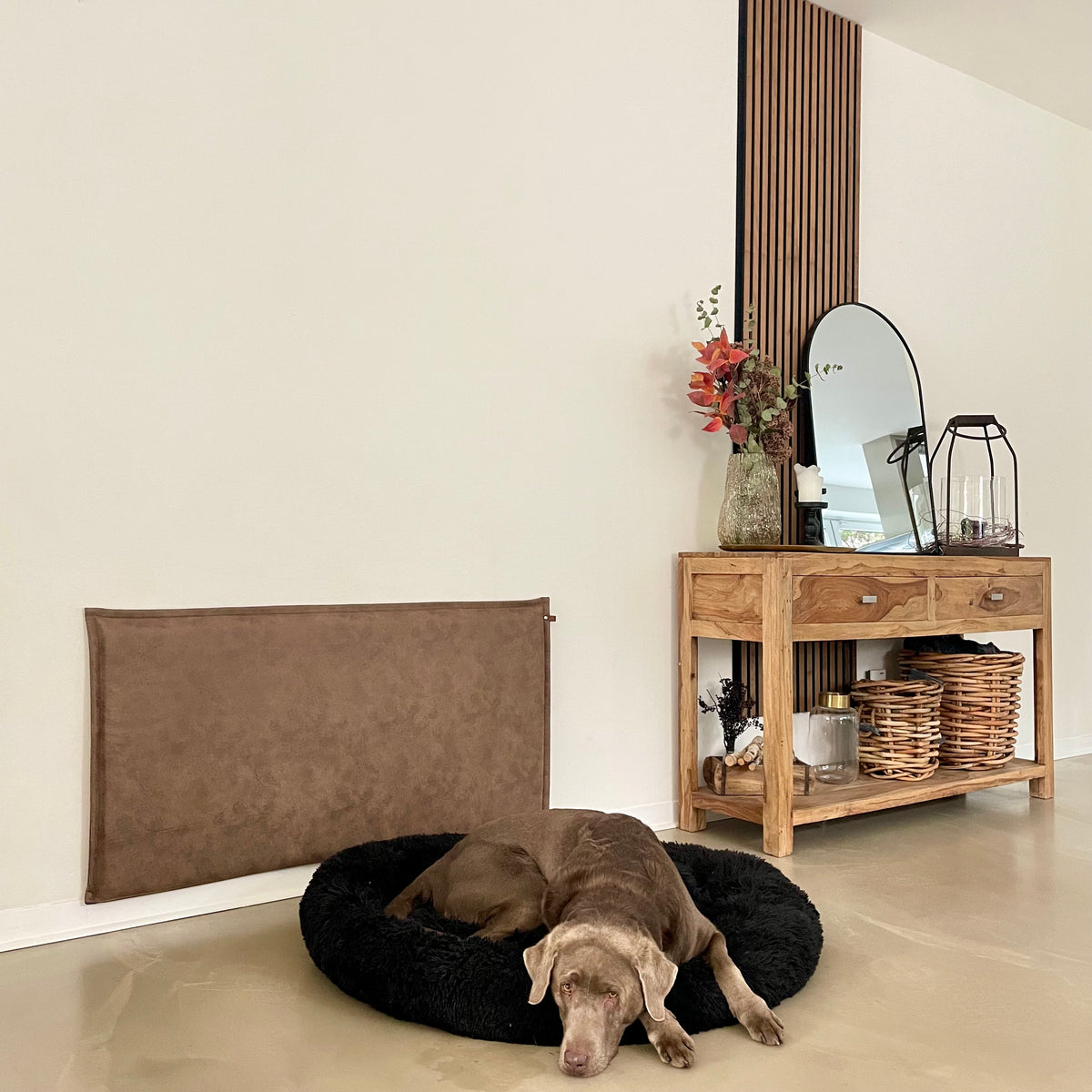 Der Wandschutz für deinen Hund unsere Paw Wall im Vintage-Design