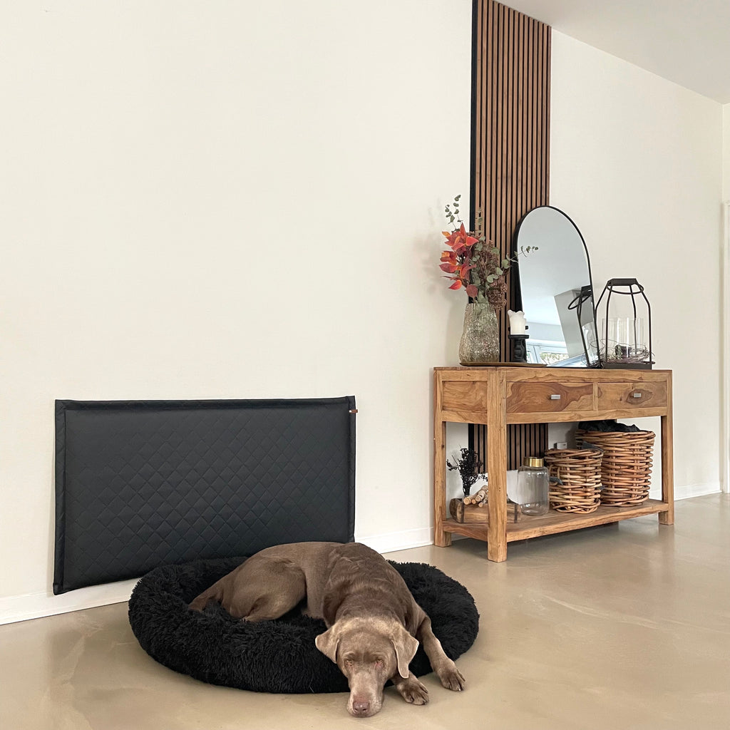 Wandschutz Fur Hunde
